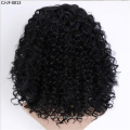 Fancy New Short Curly Hair Chemical Fiber High Temperature Silk Small Roll Afro Wig Cover Human Hair Full Lace Wigs for Women